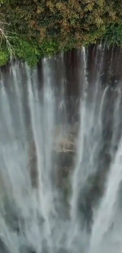 Aerial view of a majestic waterfall with lush green foliage above.