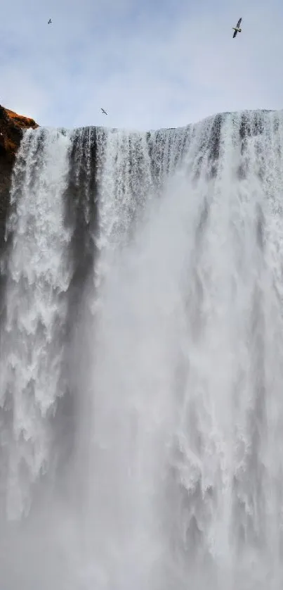 Majestic waterfall cascading down rocks with birds flying above.