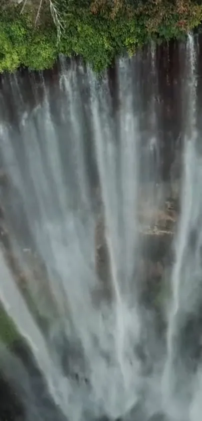 Majestic waterfall with lush green foliage on a phone wallpaper.