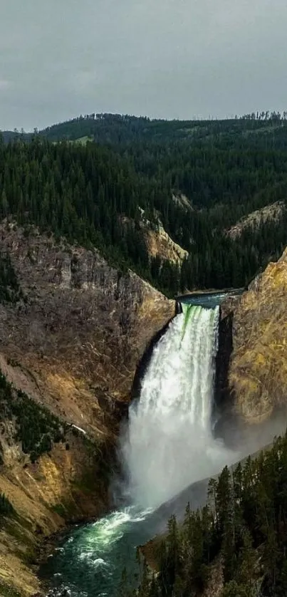 Majestic waterfall flowing through forested cliffs, perfect for mobile wallpaper.