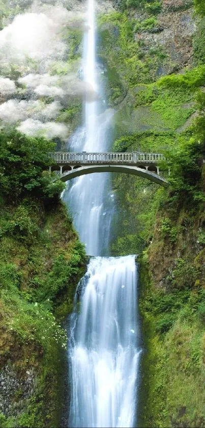 A serene waterfall with a bridge amidst greenery.