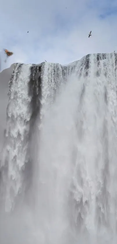 Majestic waterfall cascading with birds in serene sky.