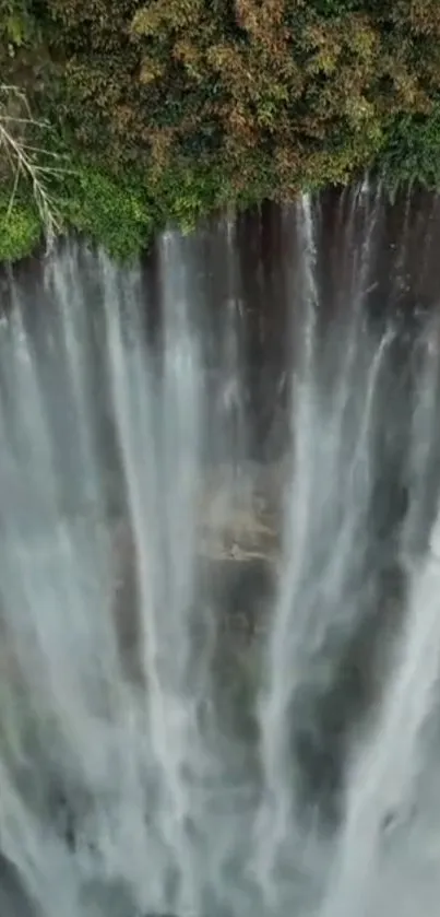 Majestic waterfall cascading down lush greenery.