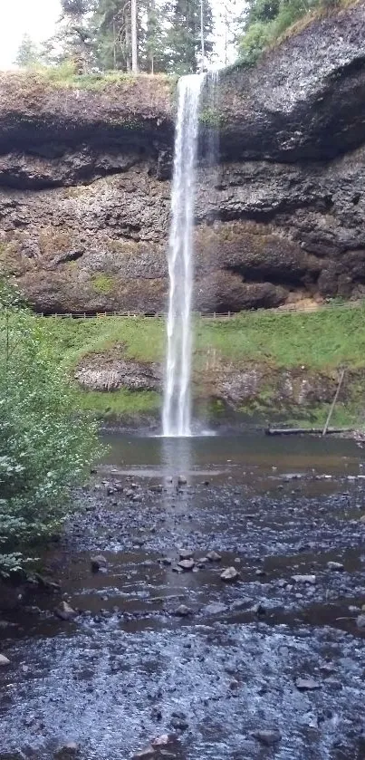 Mobile wallpaper featuring a serene waterfall in lush greenery.