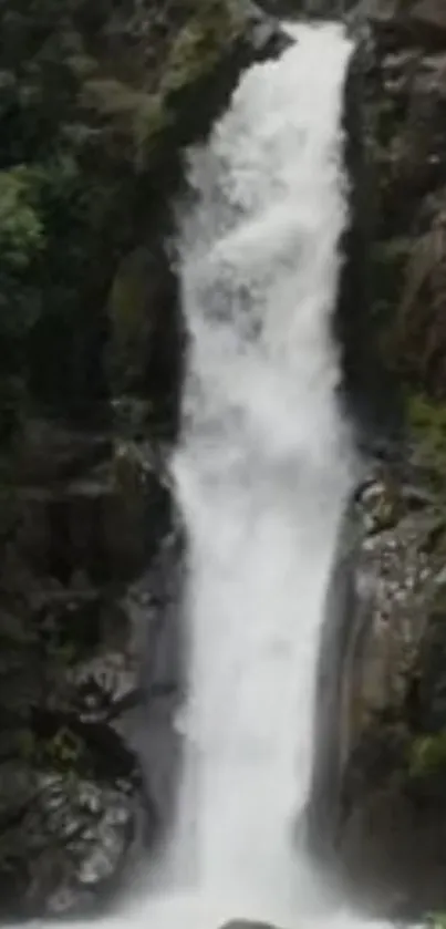 Tall waterfall cascading down rocky cliffs with green foliage surrounding.