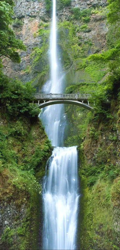 Waterfall cascading down lush green cliffs with a scenic bridge.