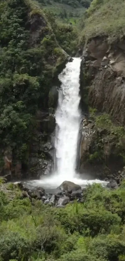 Breathtaking waterfall amid lush green trees