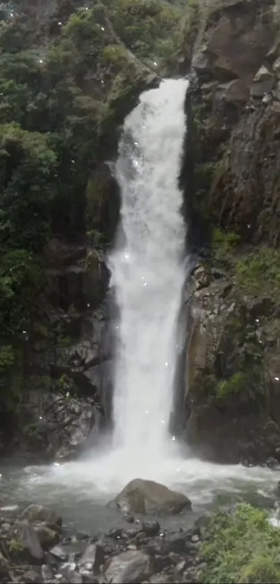 A breathtaking waterfall surrounded by green foliage.