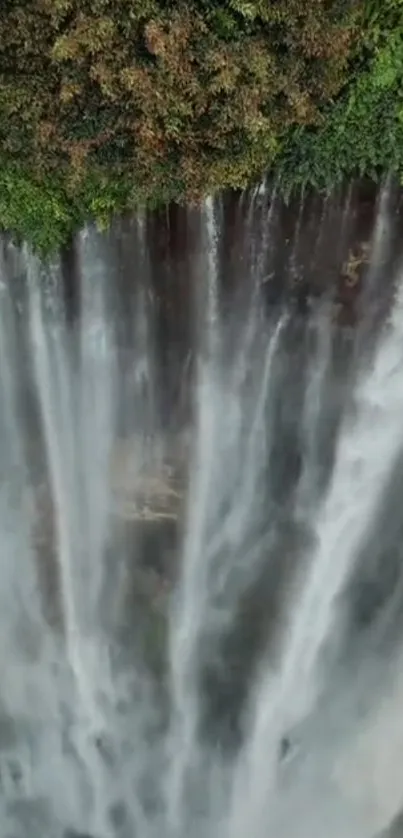 Majestic waterfall cascading with lush greenery overhead.