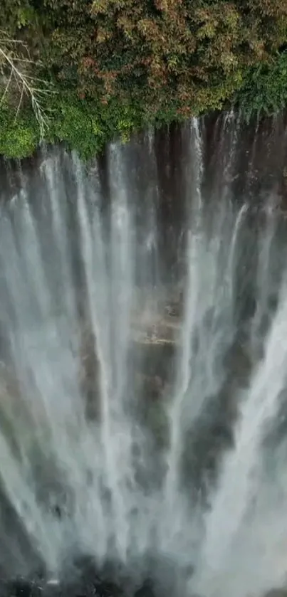 Majestic waterfall cascading amidst lush green forest backdrop.