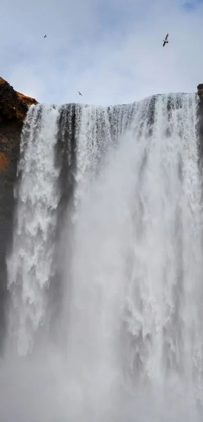 Majestic waterfall with birds circling.