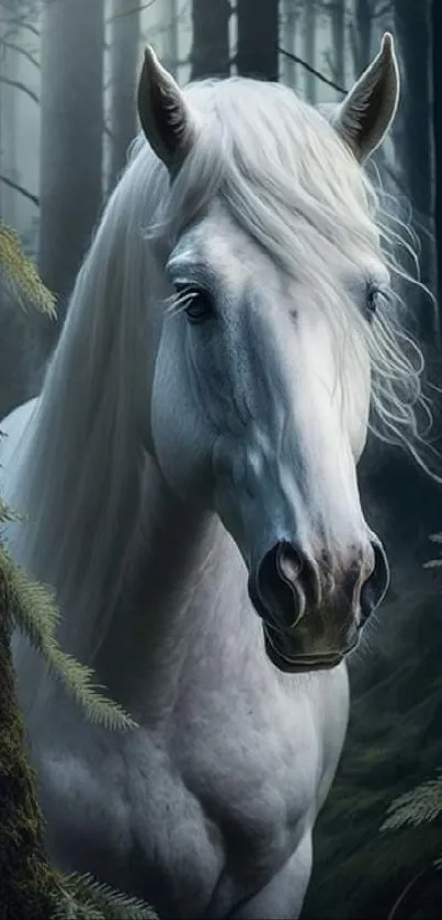 Majestic white horse standing in a dark forest, exuding elegance and serenity.