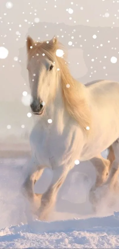 White horse running through snowy landscape, with gentle snowfall.