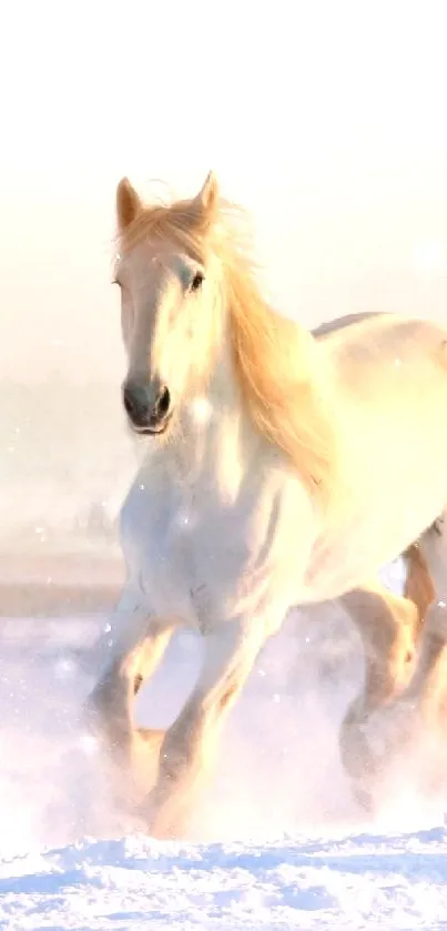 White horse galloping through snowy landscape, creating a serene mobile wallpaper.