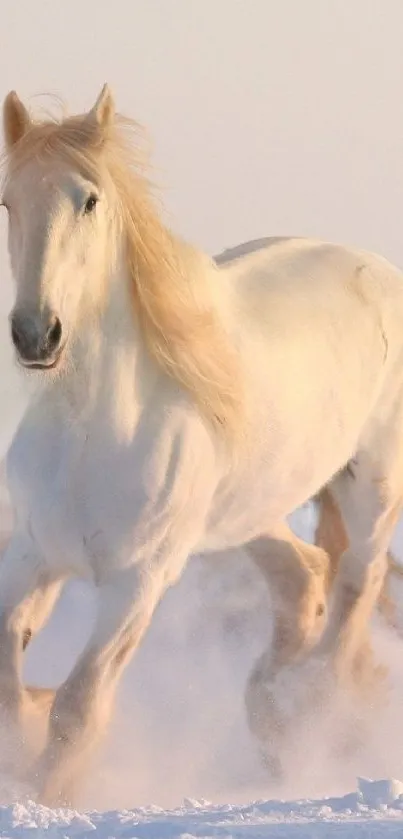 White horse running through snow in a serene landscape.