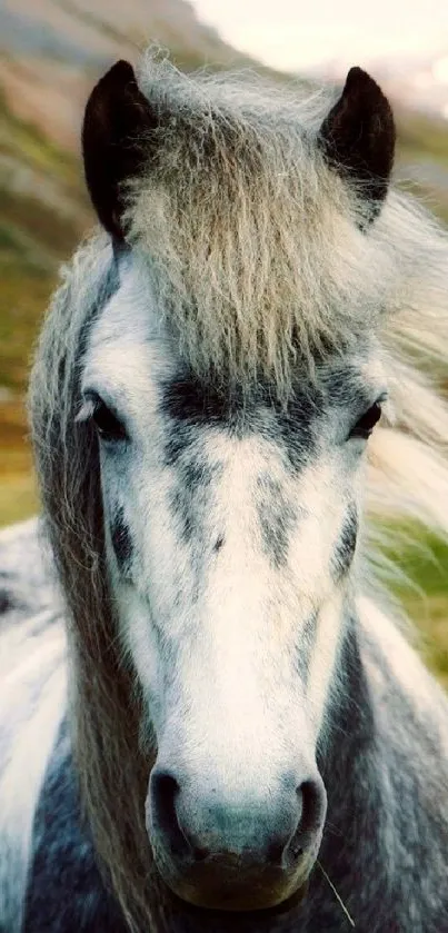 Majestic white horse with flowing mane in a natural setting.