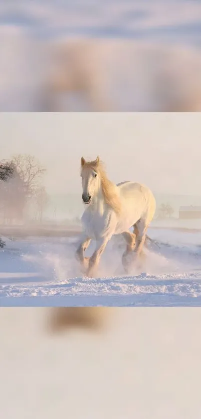 White horse galloping in snowy landscape mobile wallpaper.