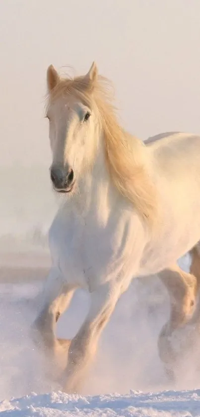 Majestic white horse galloping through snow in a serene winter landscape.