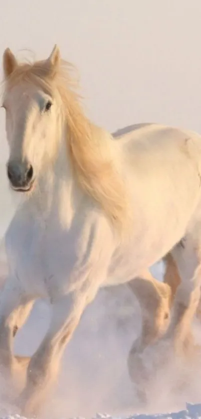 White horse galloping through snow, exuding elegance and freedom.