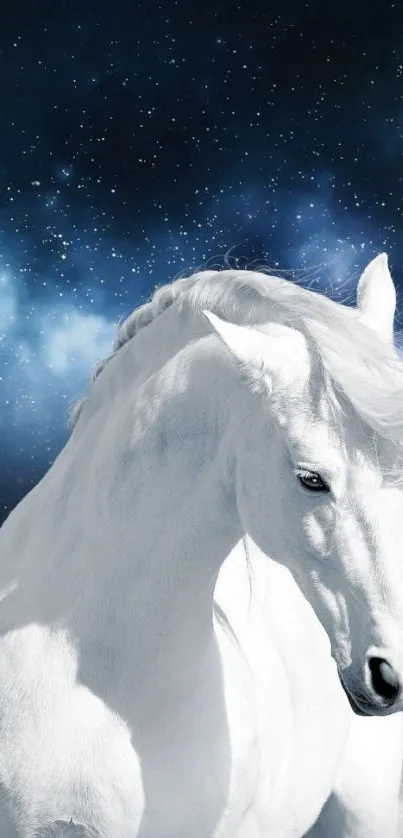 White horse in starry night sky wallpaper.