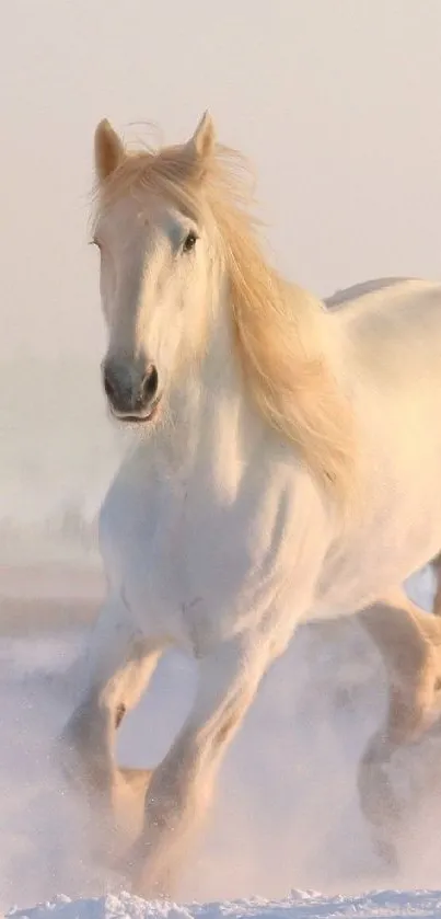 Majestic white horse running on snowy landscape mobile wallpaper.