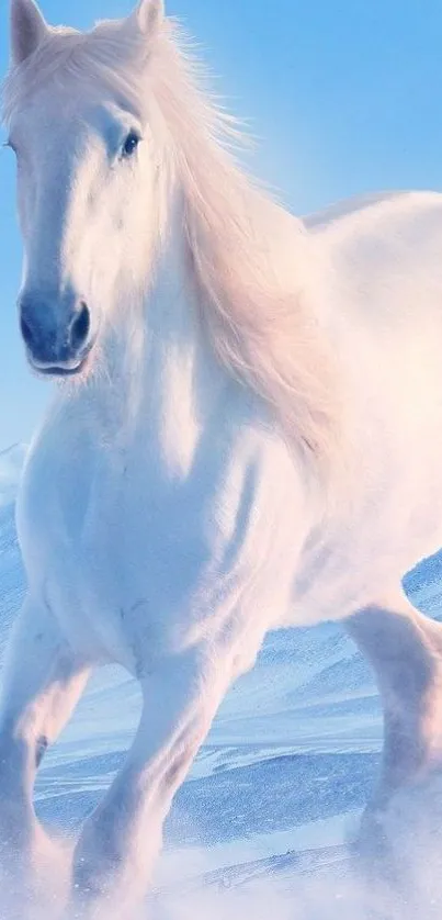 White horse galloping in a snowy landscape.