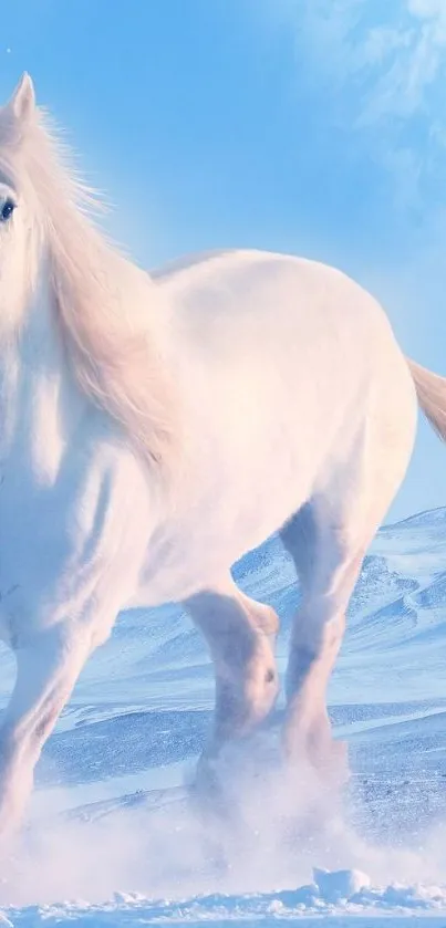 Majestic white horse gallops in snow.