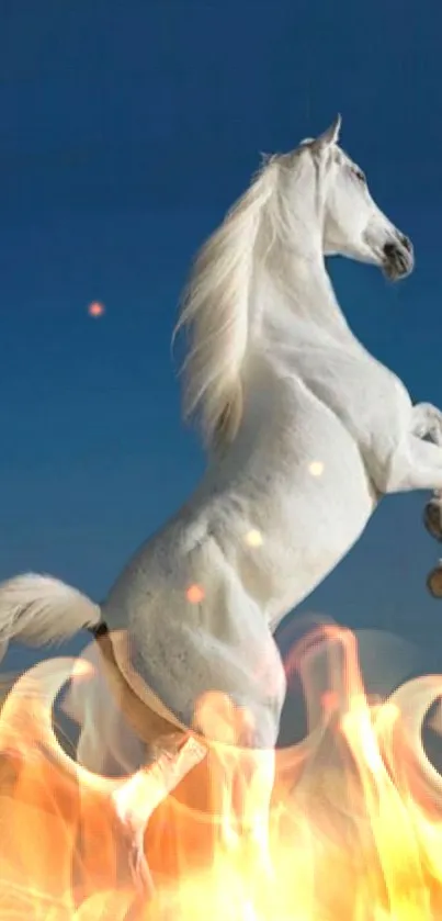 Majestic white horse rearing against a blue sky with fiery effects.