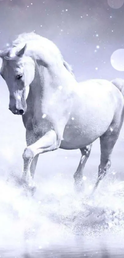 Majestic white horse in a tranquil, dreamy setting.