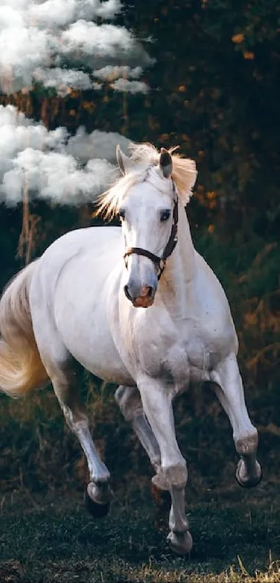 Majestic white horse gallops through a lush, wooded landscape.