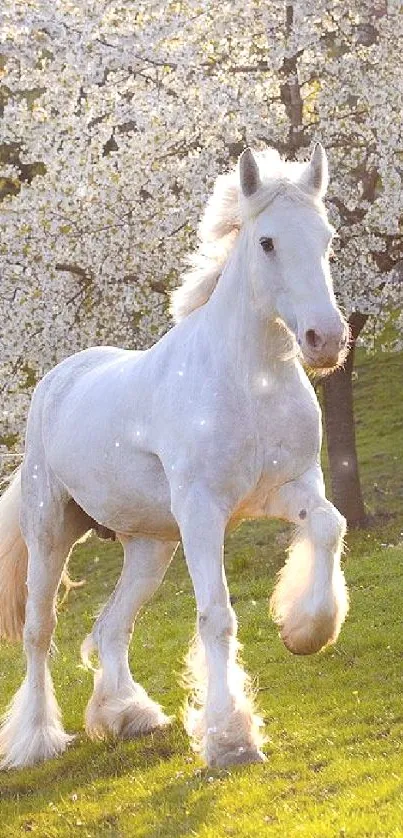 White horse galloping under cherry blossoms in a grassy landscape.