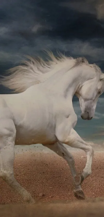 Majestic white horse galloping on sandy terrain.