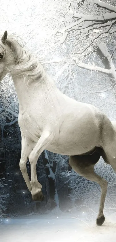 White horse in snowy forest wallpaper.