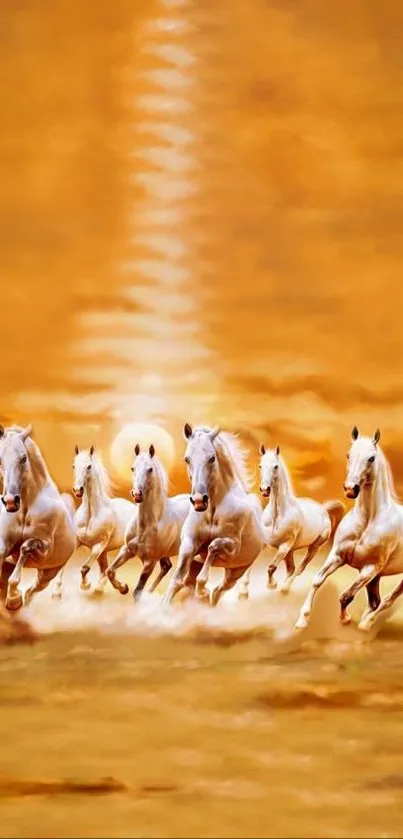 Majestic white horses running under a golden sunset.