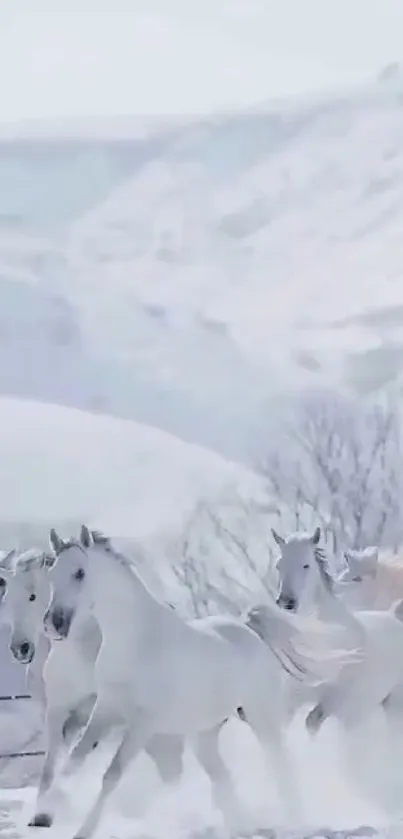 Majestic white horses running through a snowy landscape with mountains.