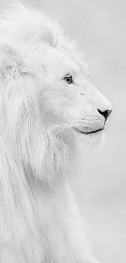 Majestic white lion in profile view on a serene background.