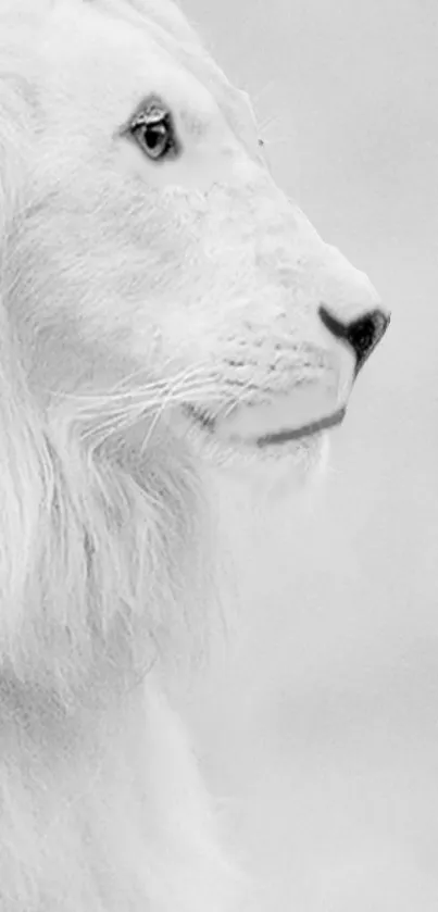 Majestic white lion side profile in minimalist design.