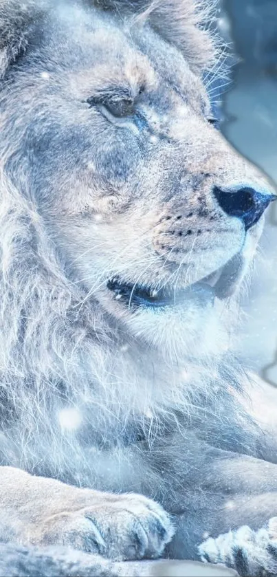 Majestic white lion on icy blue background for mobile wallpaper.