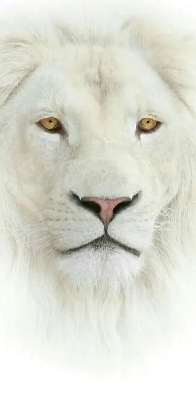 Majestic white lion with golden eyes against a soft background.