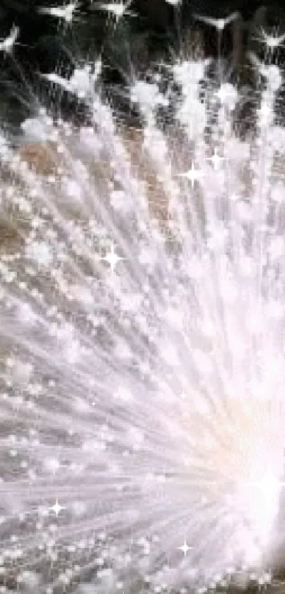 White peacock spreading its feathers in a stunning display, set against a natural background.