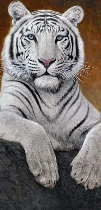 Majestic white tiger art with gray tones.