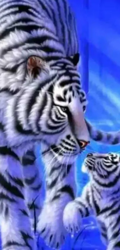 Majestic white tigers against a blue background