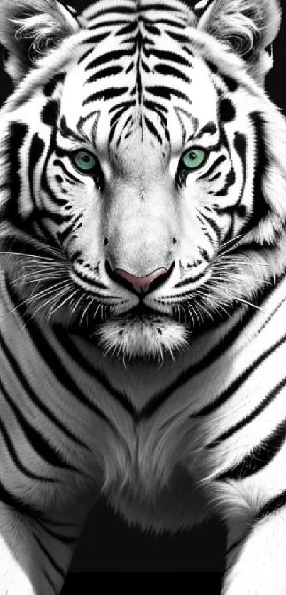 White tiger with green eyes and black stripes on a dark background.