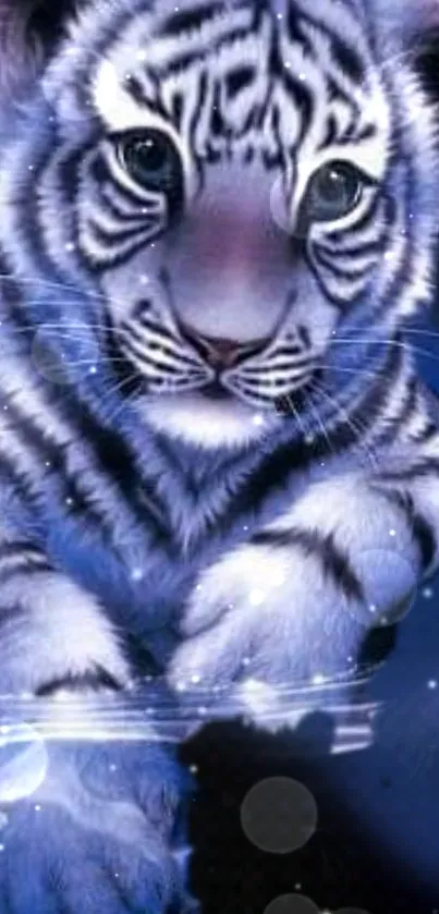 Mystic white tiger under starry night sky, blue-themed wallpaper.