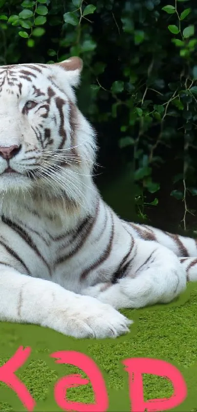 White tiger resting on lush green grass in a serene setting.