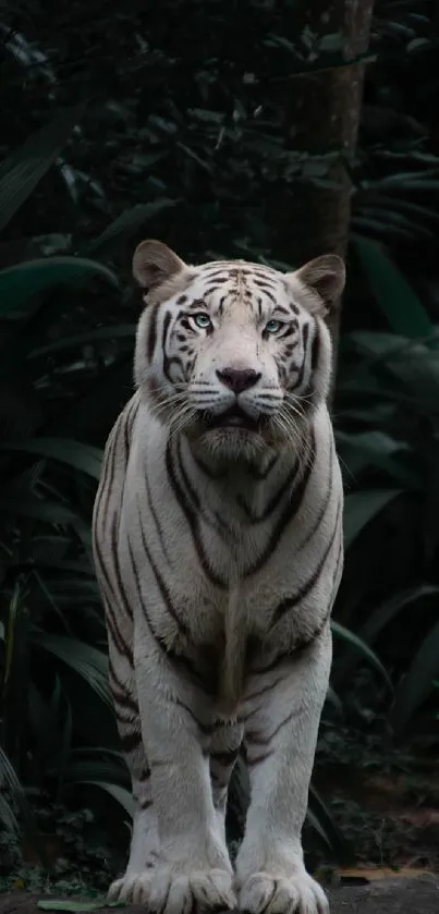 Majestic white tiger standing in lush jungle setting.