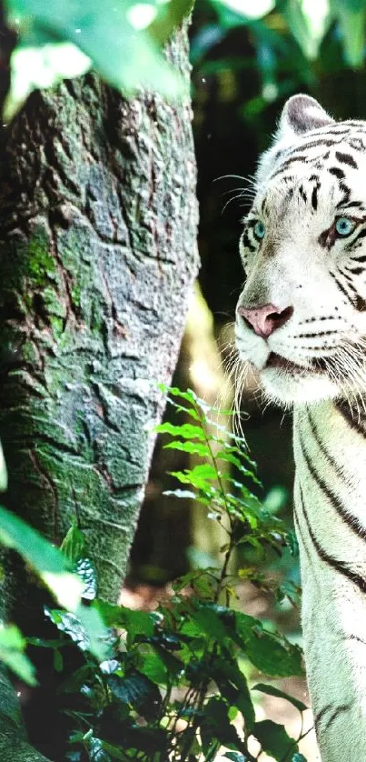 Majestic white tiger walks through lush green forest, perfect for nature wallpaper.