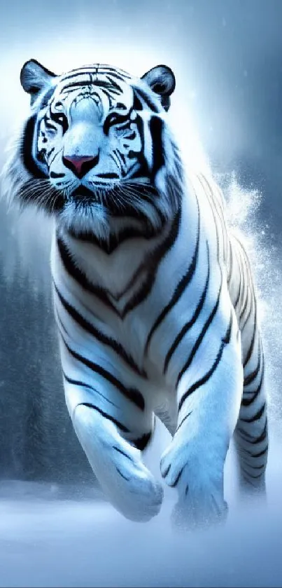 White tiger running in snow, forest backdrop.