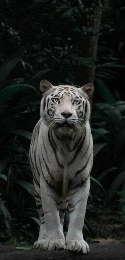 Majestic white tiger standing in a lush green jungle, displaying its natural beauty.