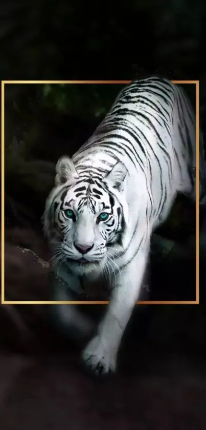 Majestic white tiger in a jungle setting with a sleek frame design.